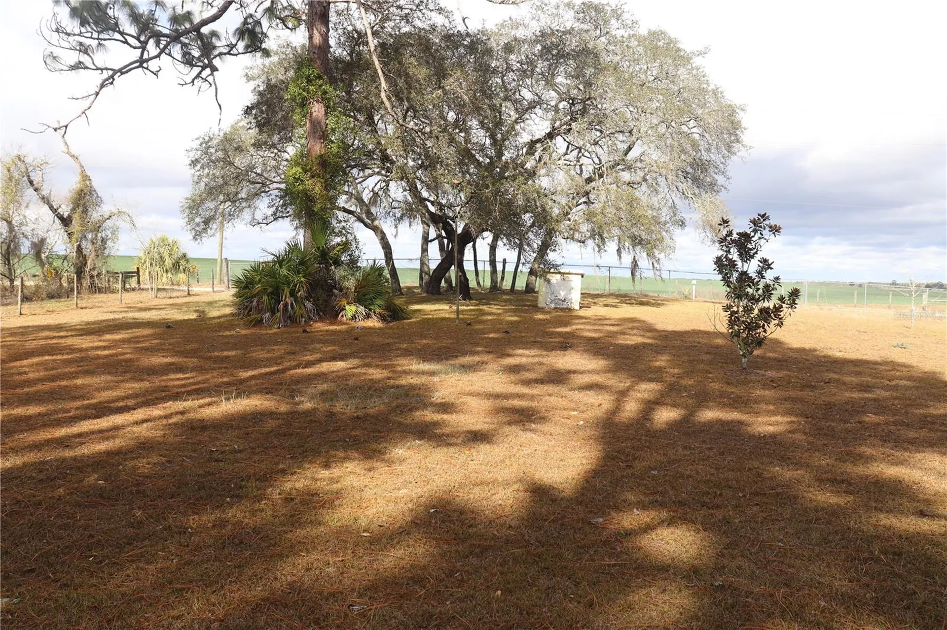 2090 SE 133rd Court Morriston FL 32668