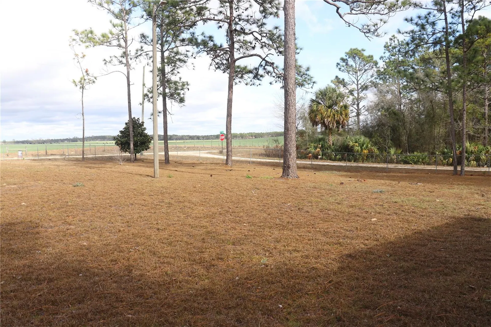 2090 SE 133rd Court Morriston FL 32668