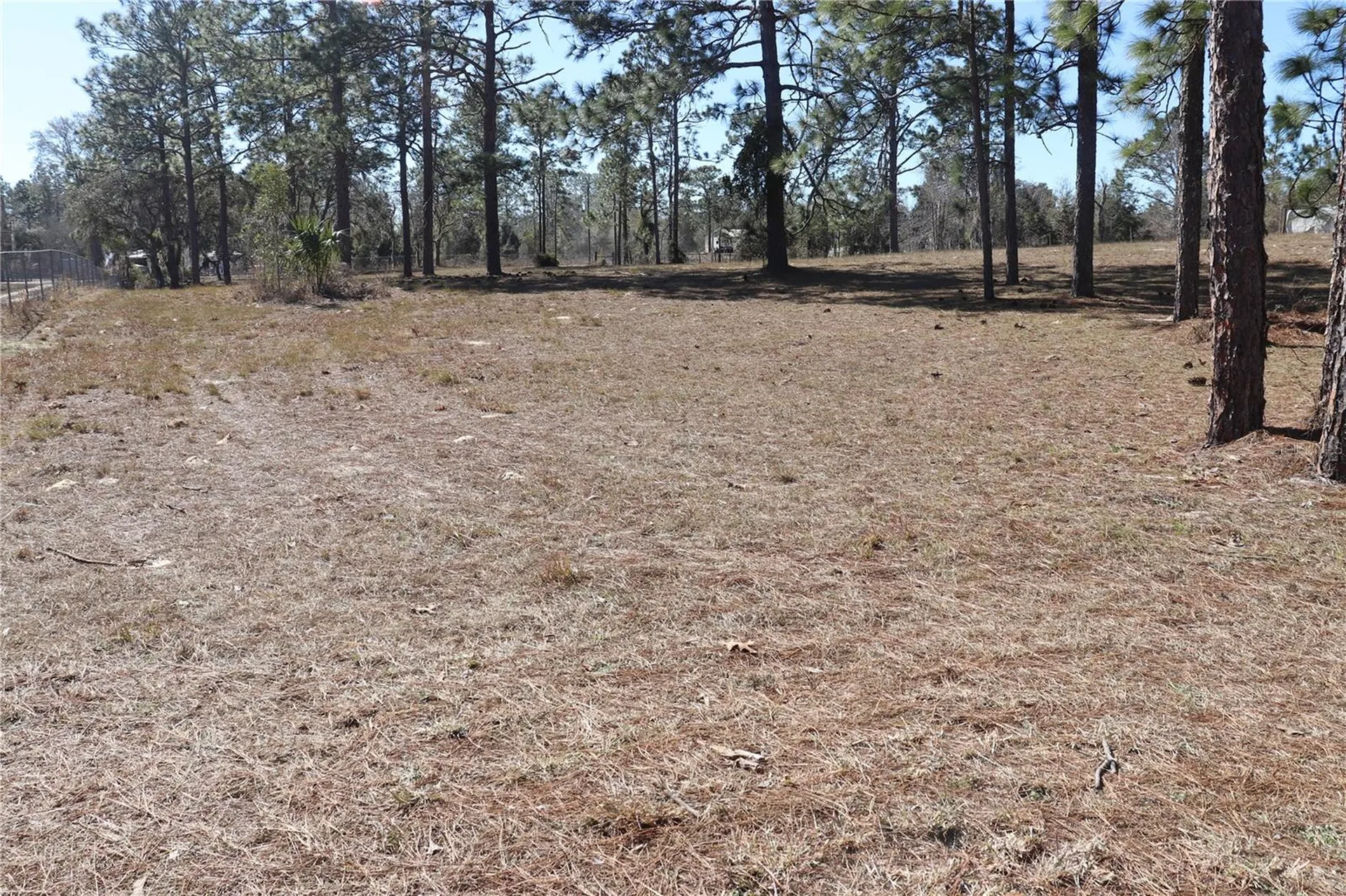 2090 SE 133rd Court Morriston FL 32668
