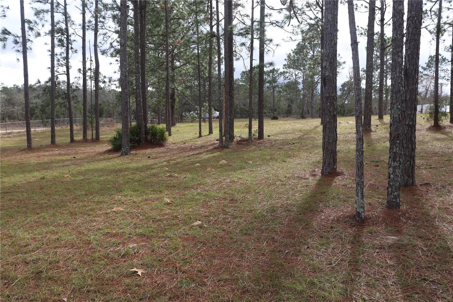 2090 SE 133rd Court Morriston FL 32668