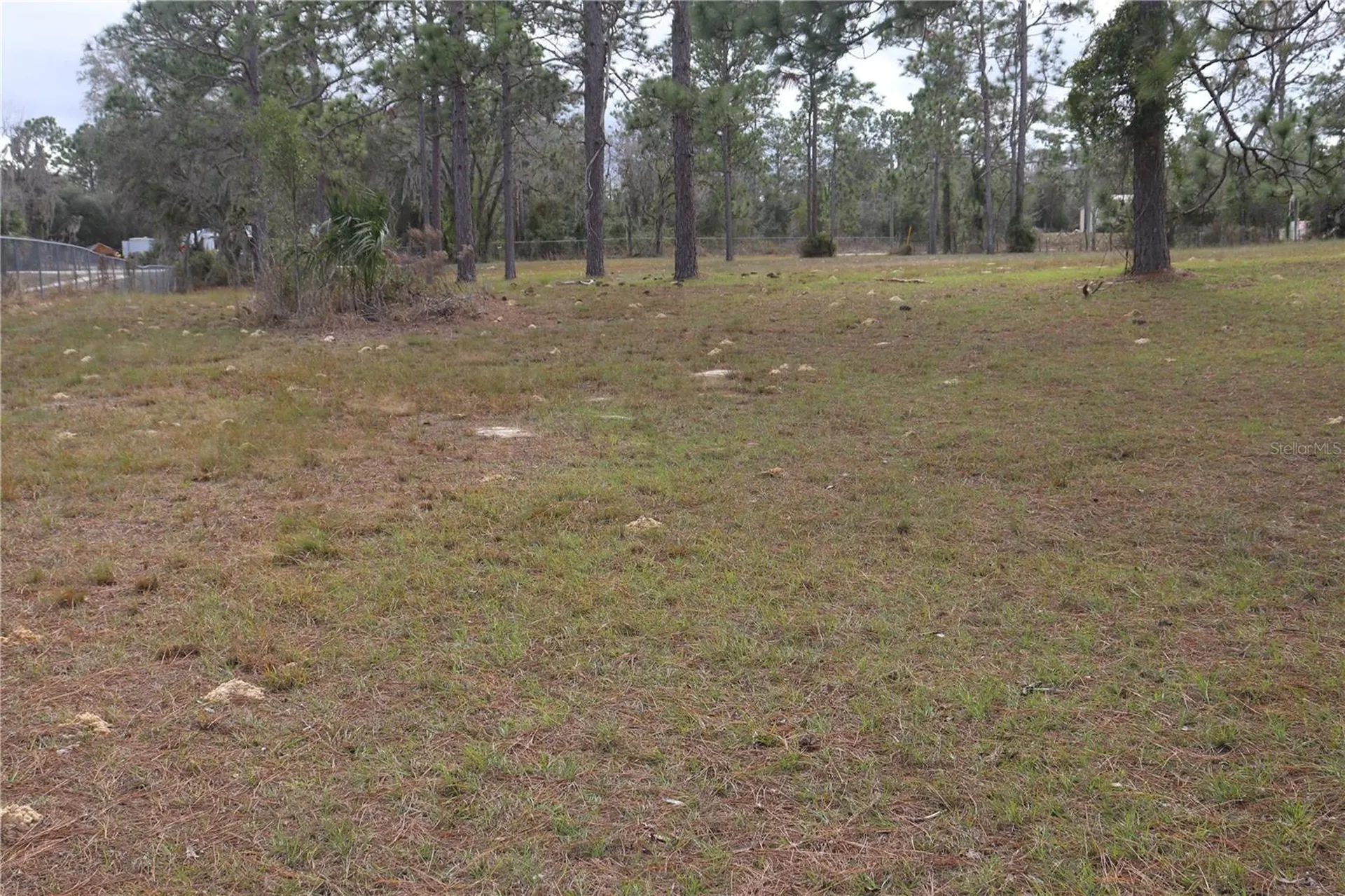2090 SE 133rd Court Morriston FL 32668