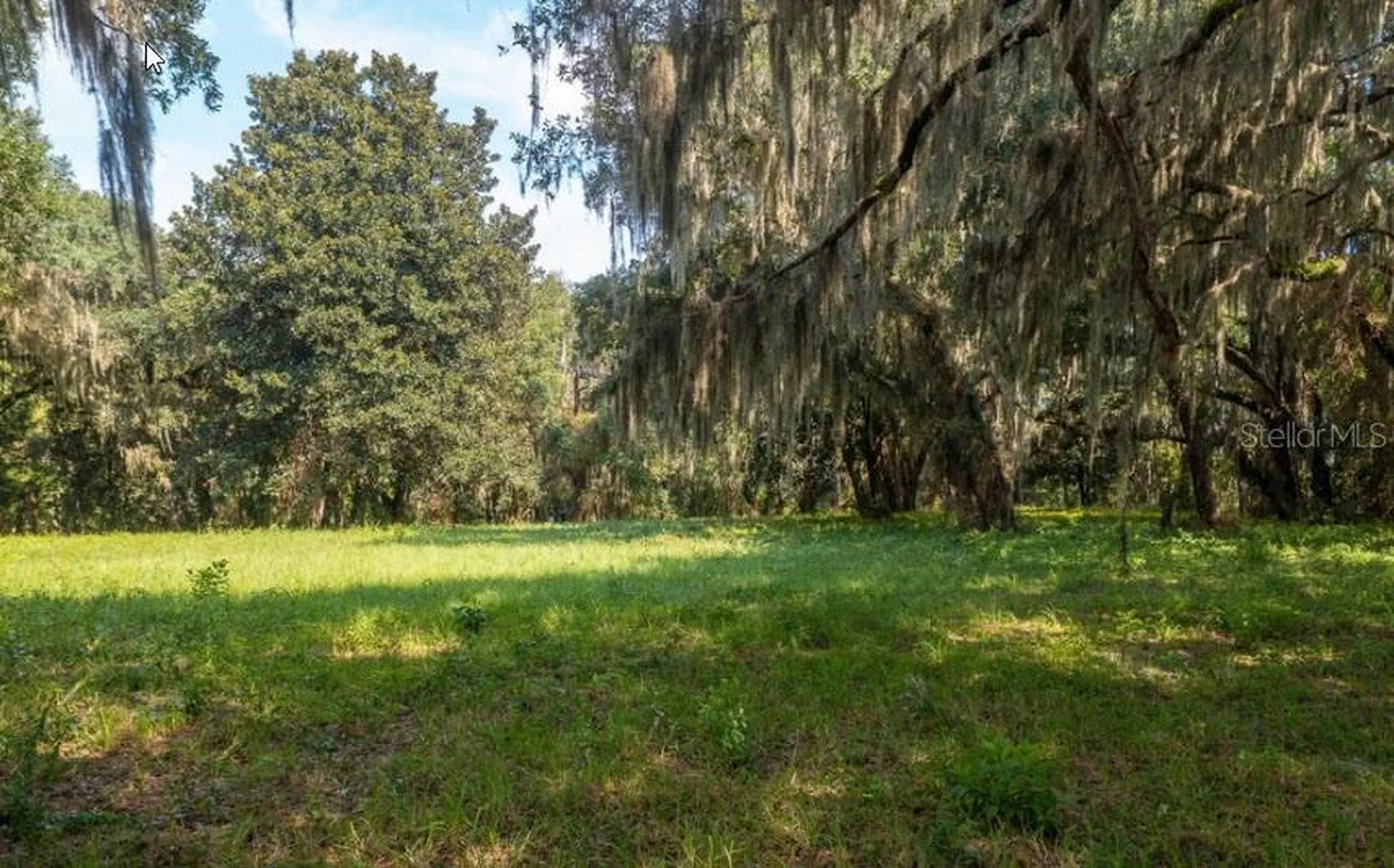 254 Street Johns Drive Palatka FL 32177