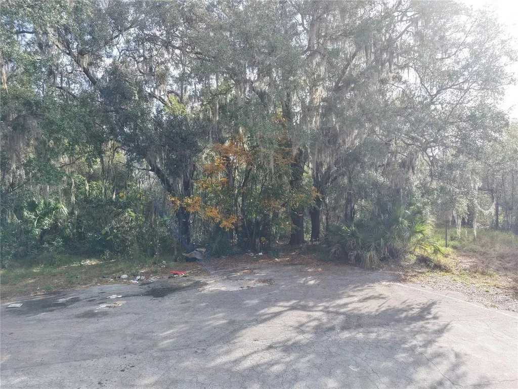 Stinson Street Leesburg FL 34748