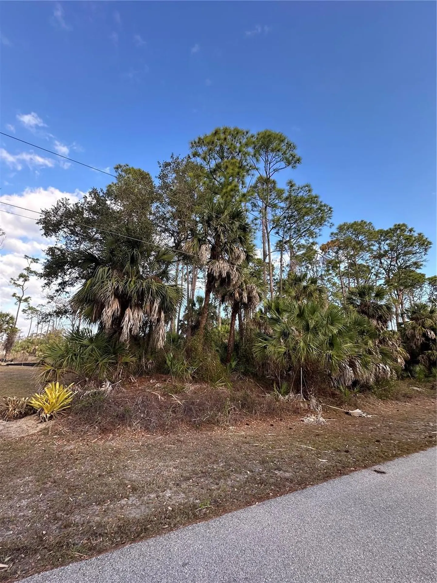 Joann Terrace North Port FL 34286