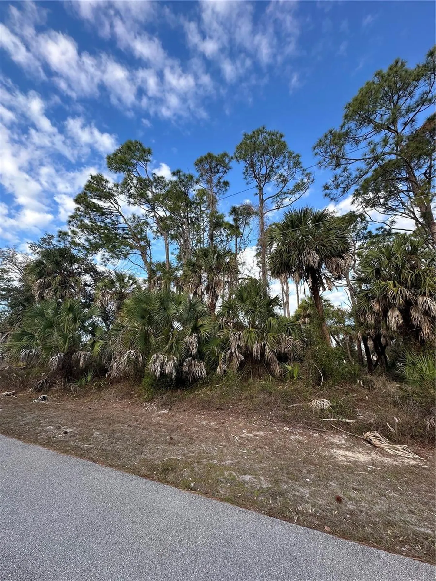 Joann Terrace North Port FL 34286