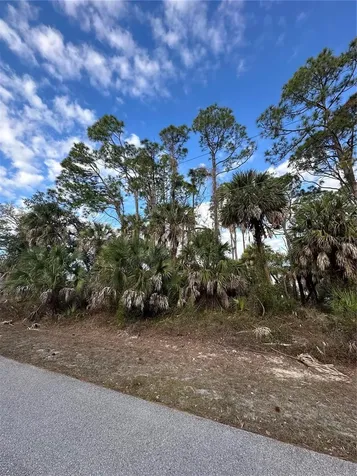 Joann Terrace North Port FL 34286
