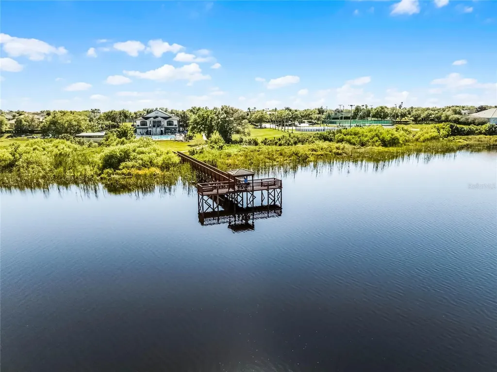 13722 Fox Glove Street Winter Garden FL 34787
