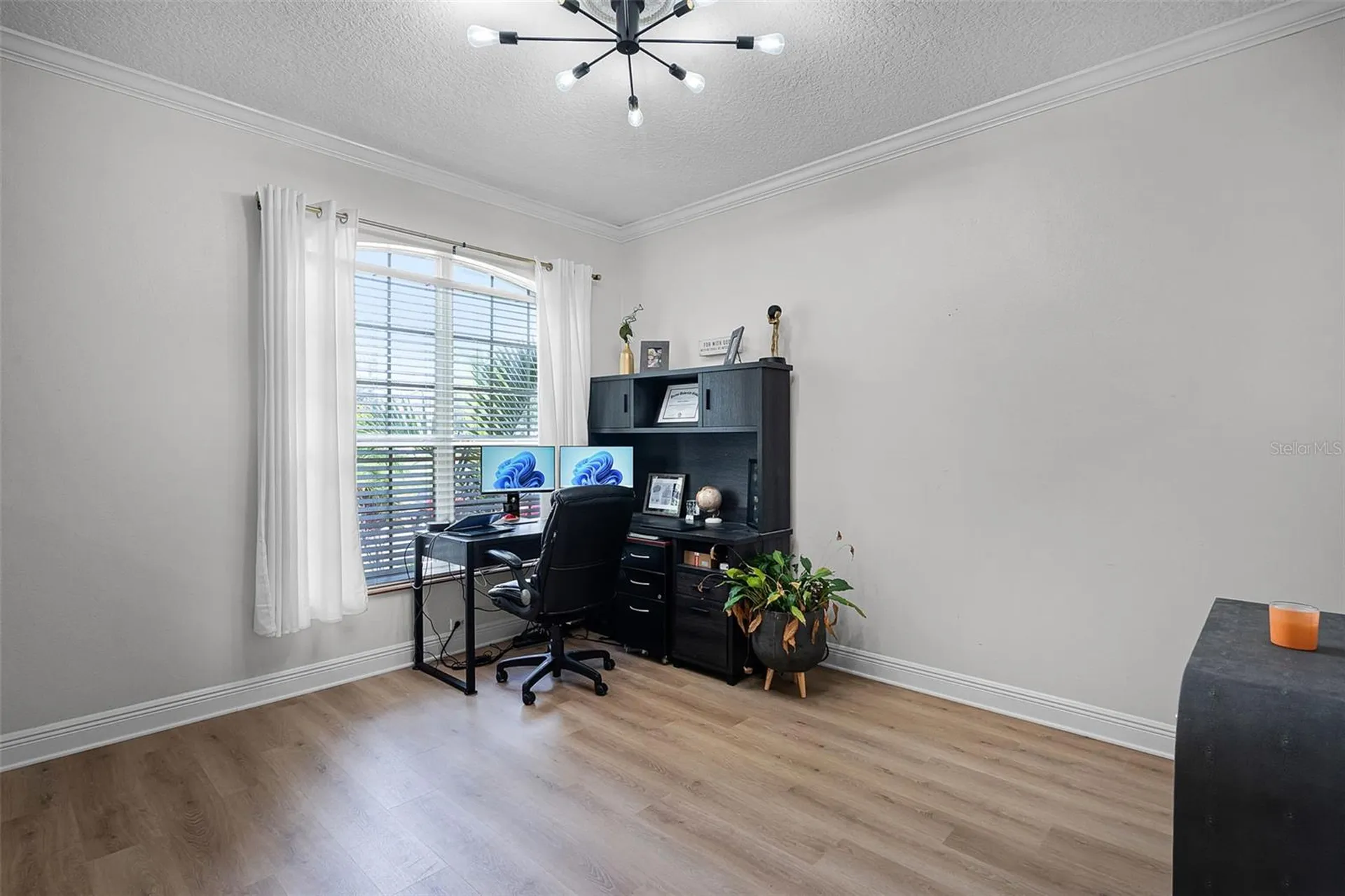 13722 Fox Glove Street Winter Garden FL 34787