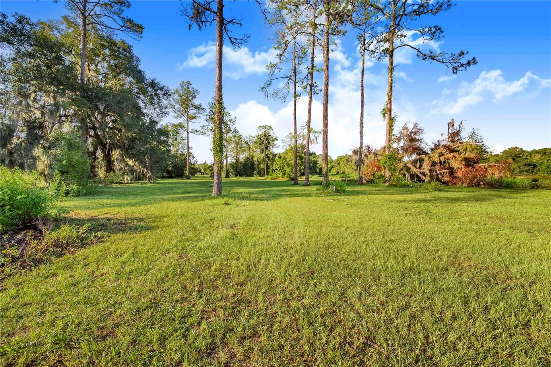 7904 SE Us Highway 301 Hawthorne FL 32640