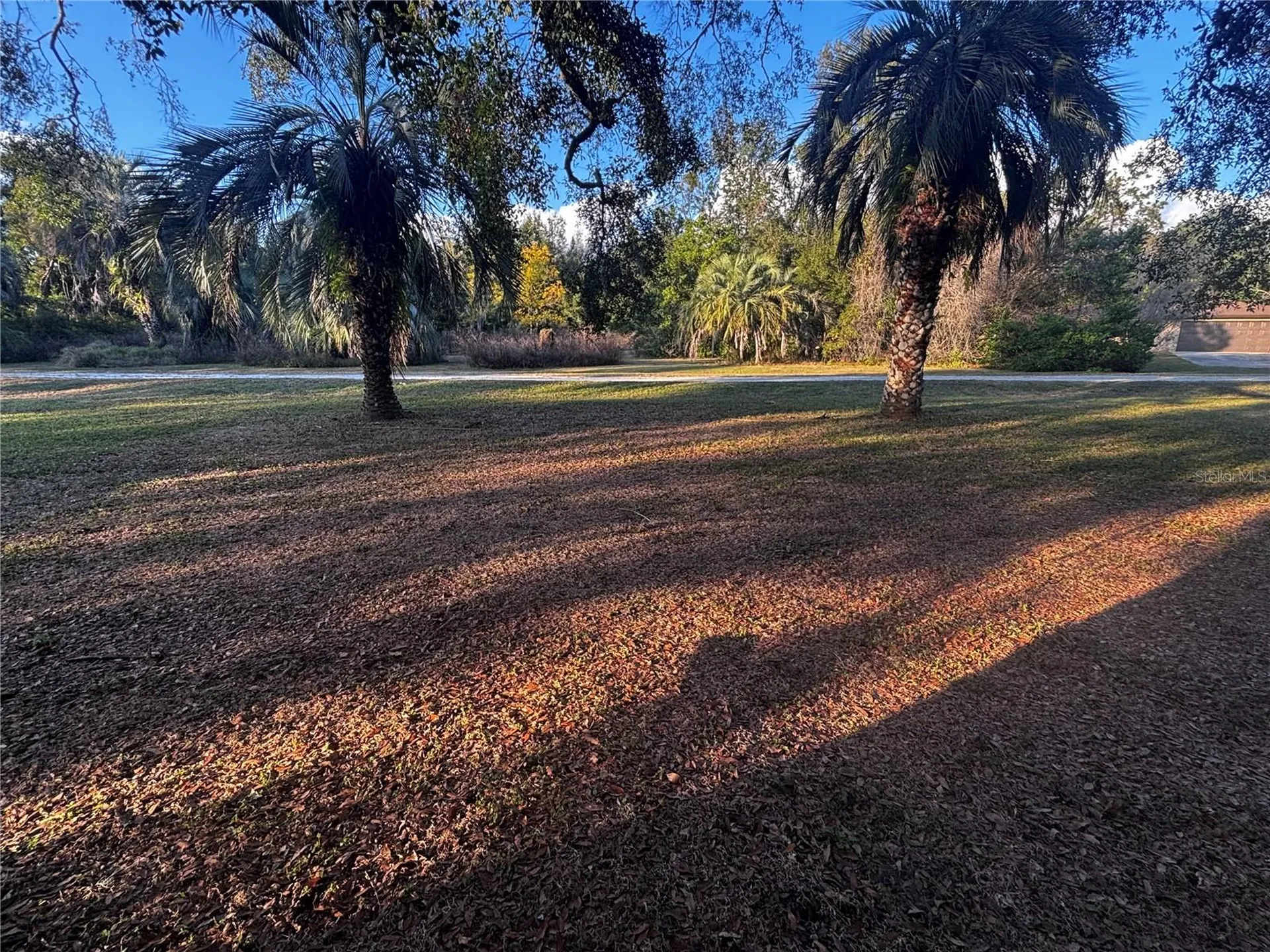 37252 Hilltop Drive Zephyrhills FL 33541