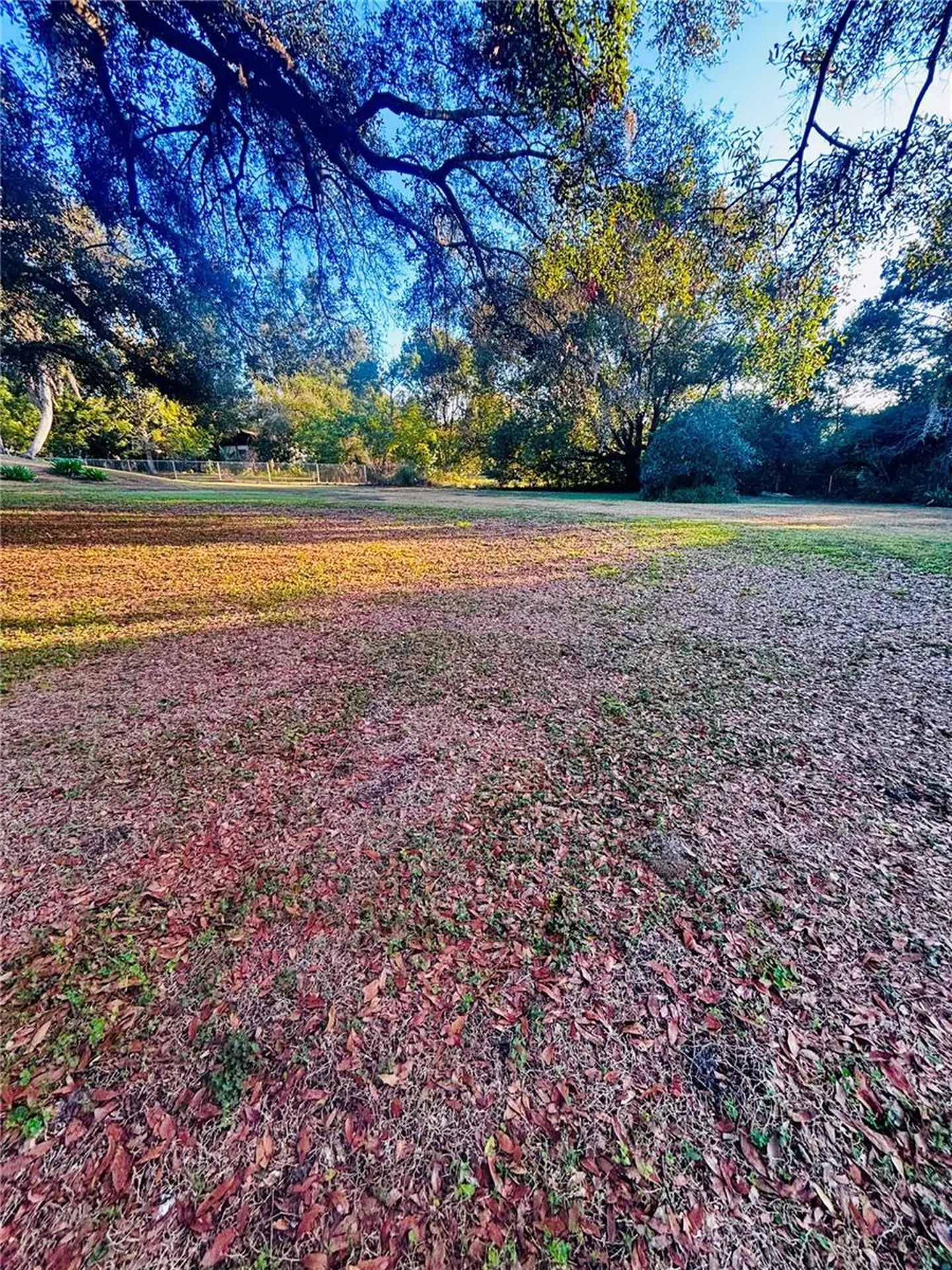 37252 Hilltop Drive Zephyrhills FL 33541
