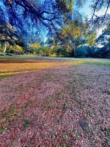 37252 Hilltop Drive Zephyrhills FL 33541