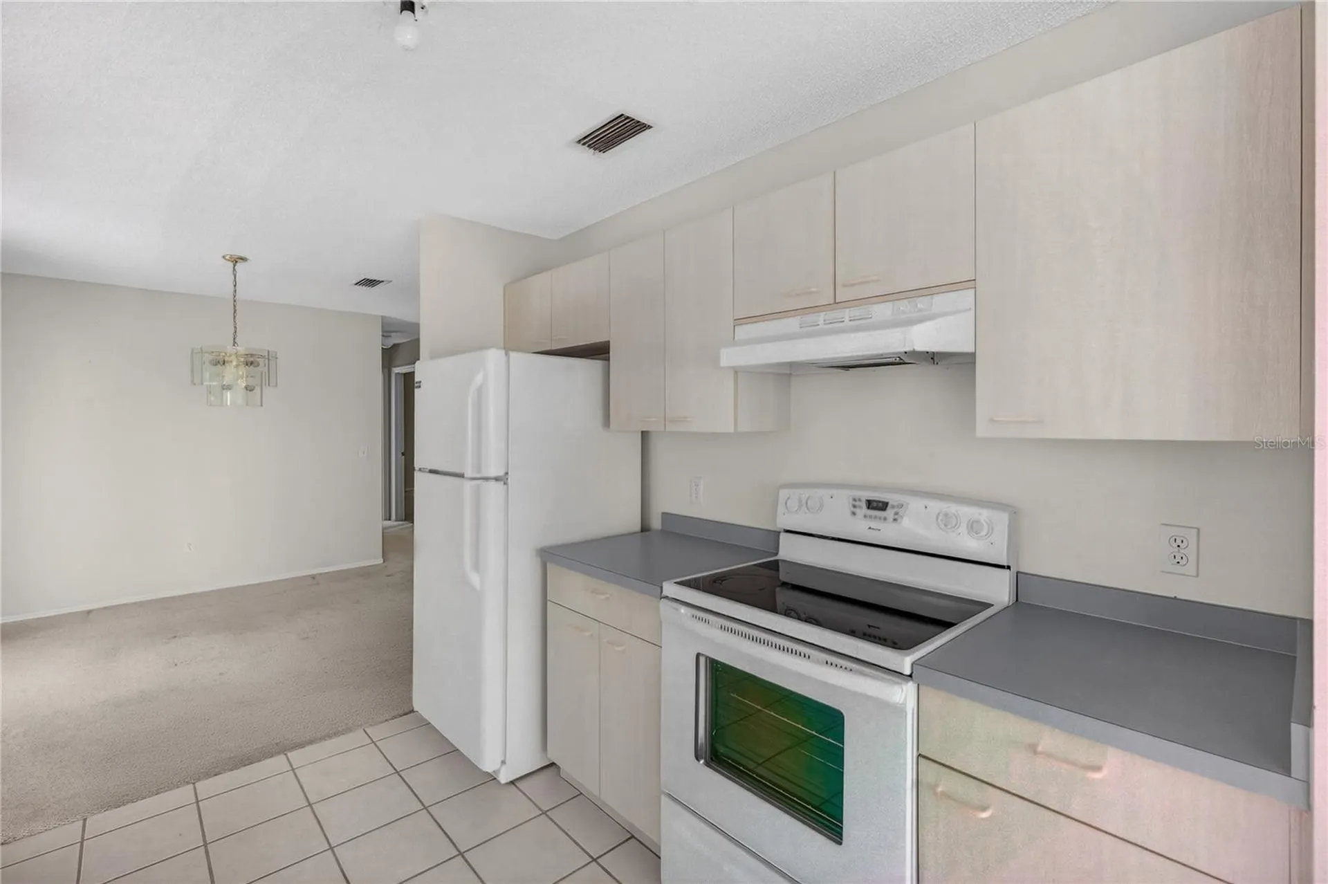 242 Juarez Way The Villages FL 32159