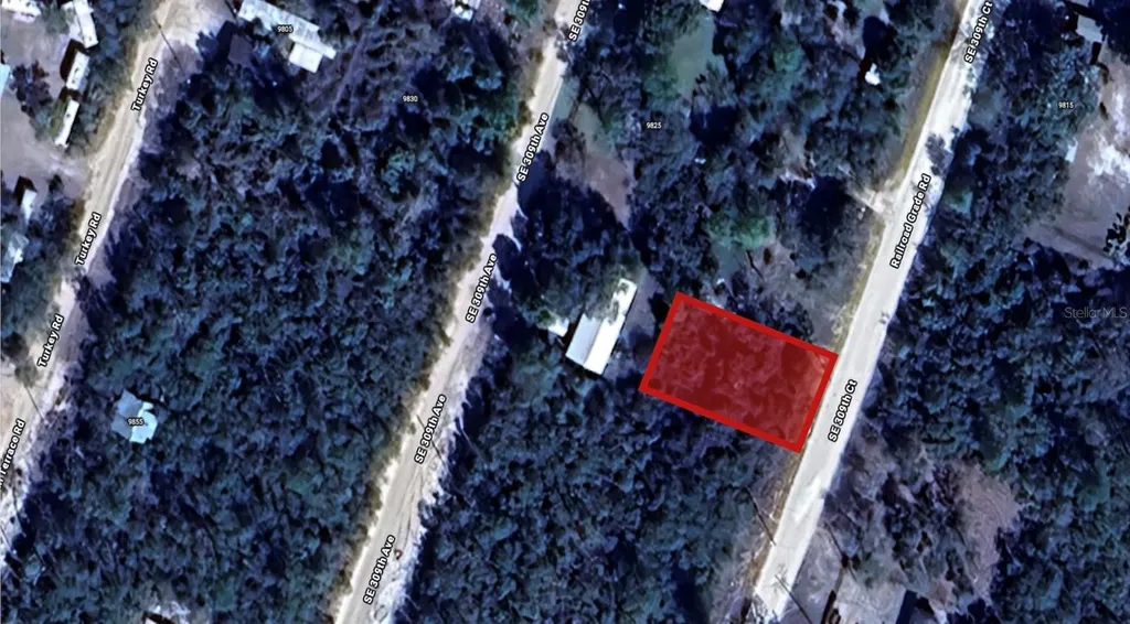 SE 309th Court Altoona FL 32702