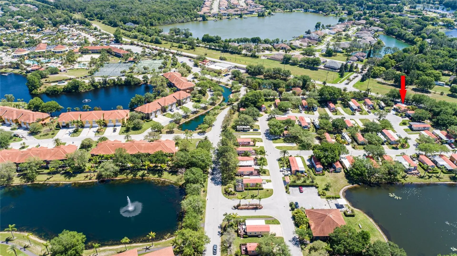 21247 San Pablo Drive Land O Lakes FL 34637