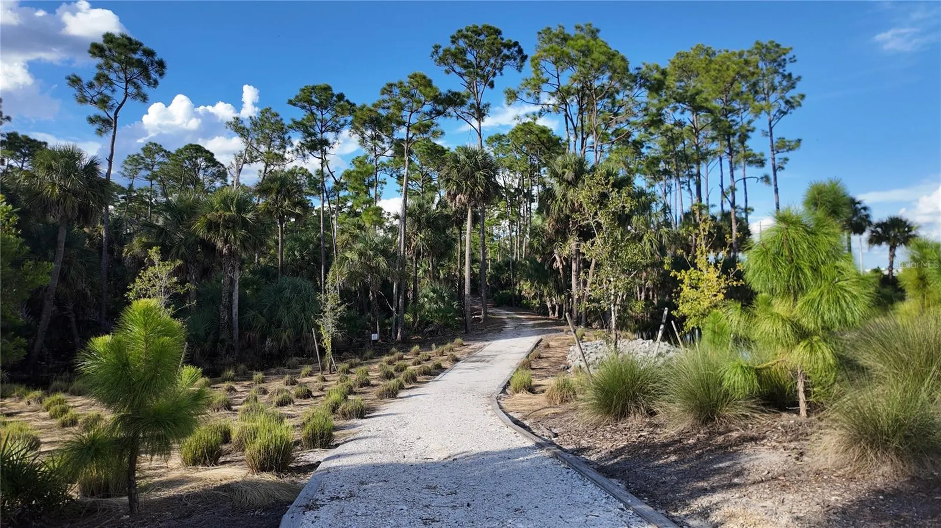44319 Panther Drive Punta Gorda FL 33982