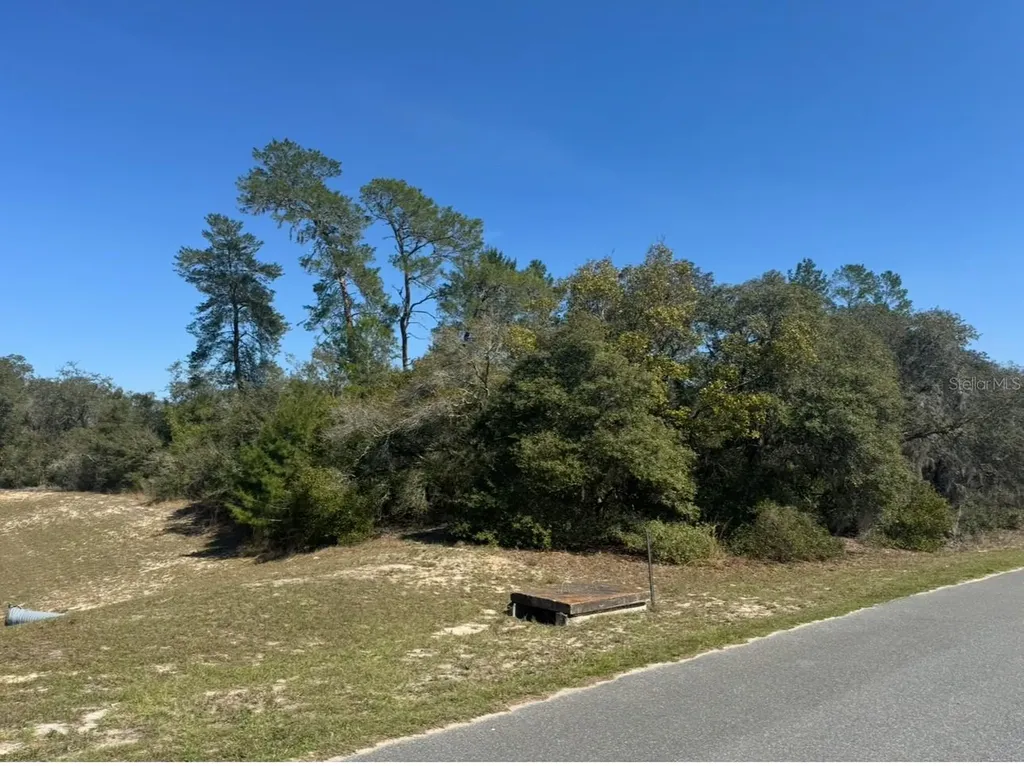 0 SW 17th Circle Ocklawaha FL 32179