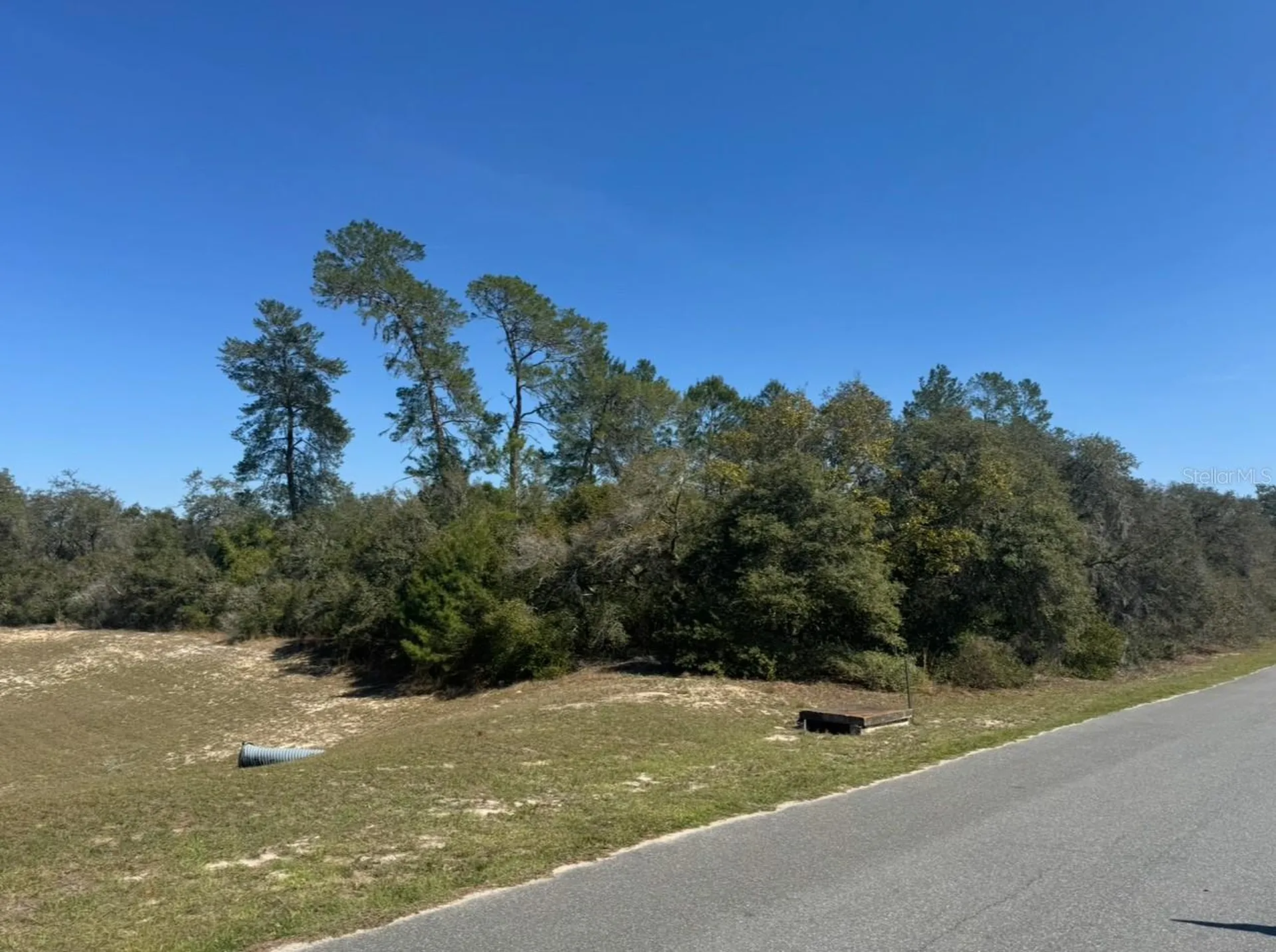 0 SW 17th Circle Ocklawaha FL 32179