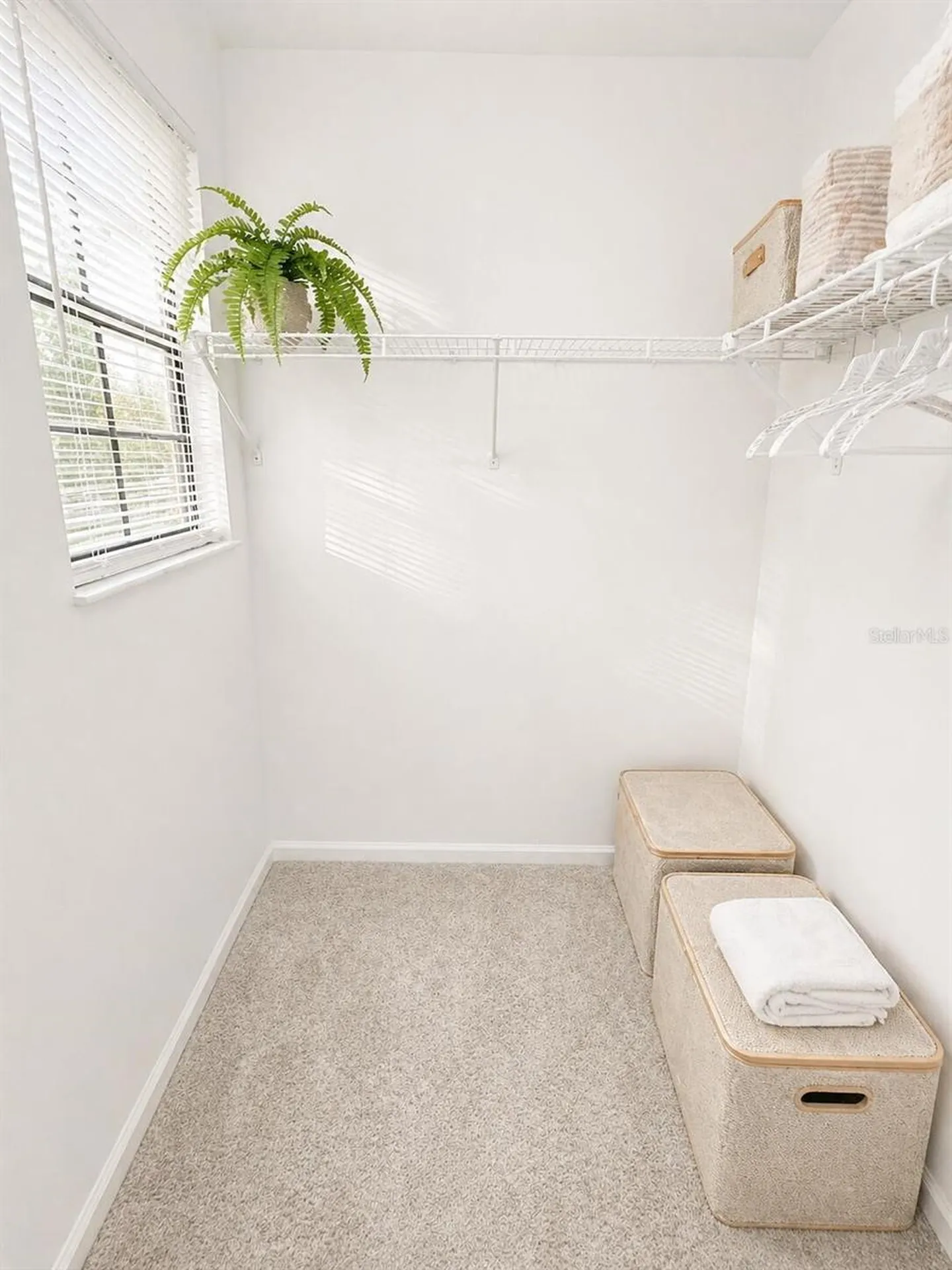 540 Sheridan Drive Palm Harbor FL 34684
