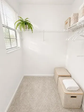 540 Sheridan Drive Palm Harbor FL 34684