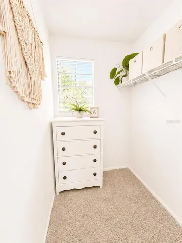 540 Sheridan Drive Palm Harbor FL 34684
