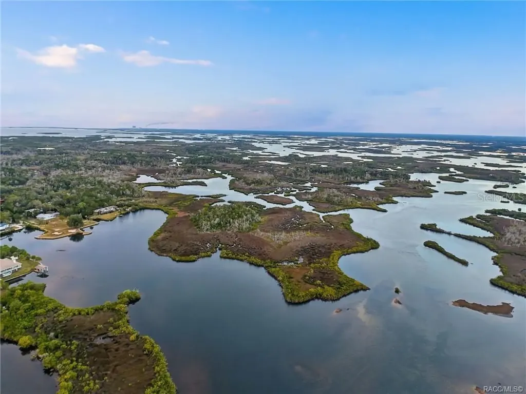 14190 W Sutton Court Crystal River FL 34429