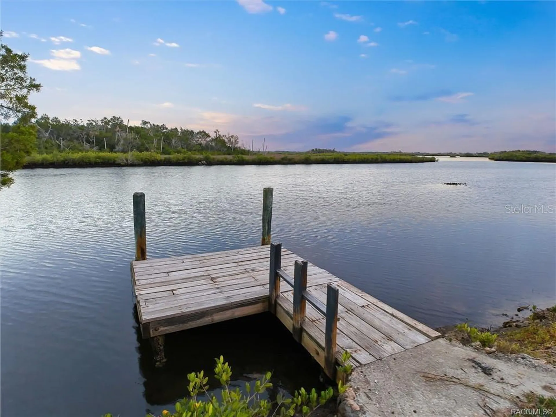 14190 W Sutton Court Crystal River FL 34429