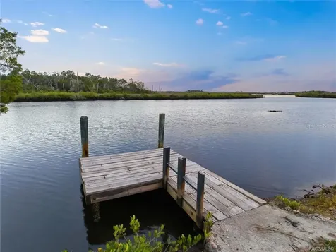 14190 W Sutton Court Crystal River FL 34429