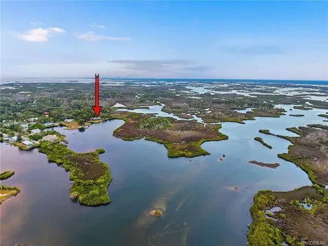 14190 W Sutton Court Crystal River FL 34429
