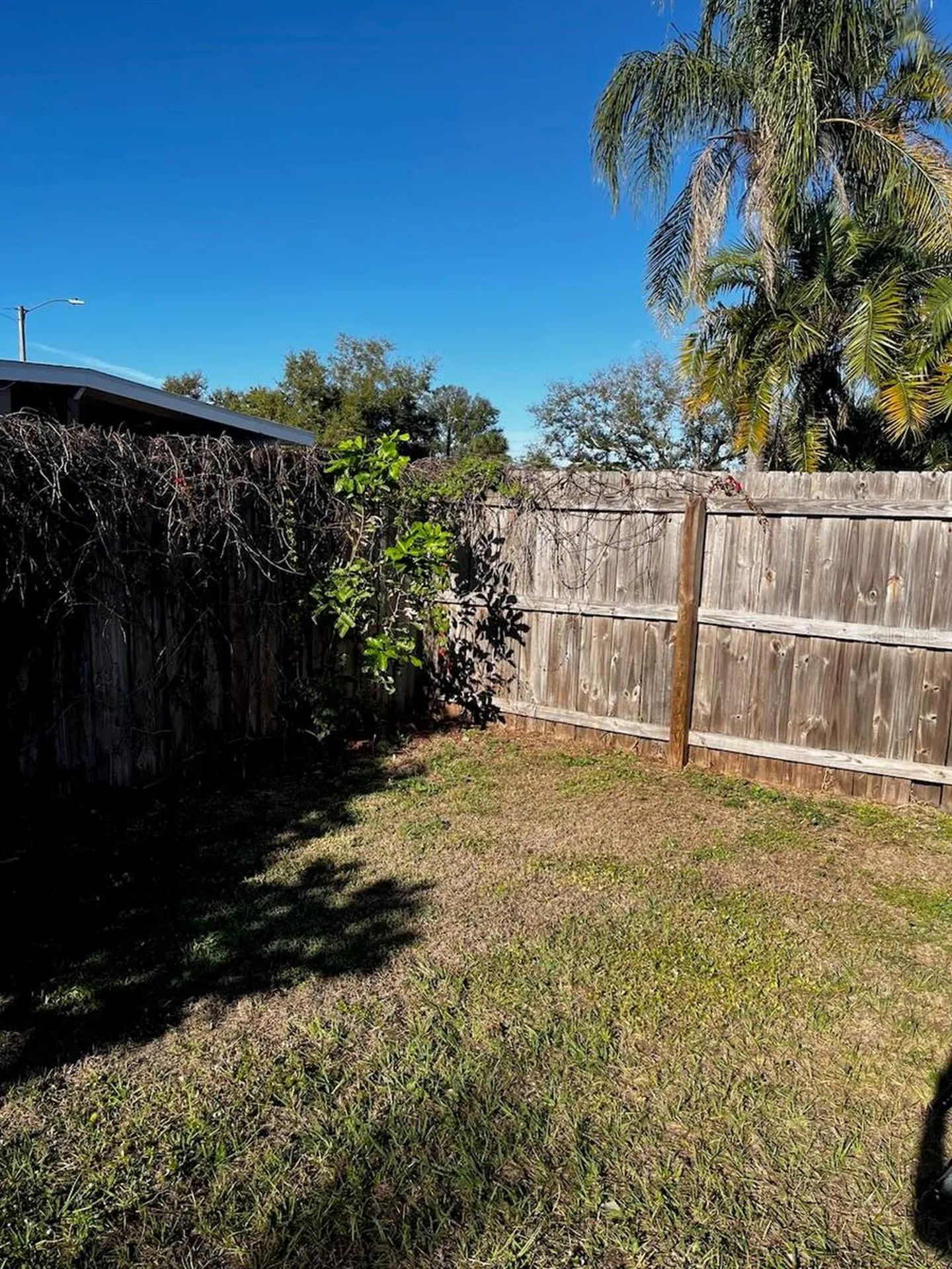 425 Palmetto Drive Venice FL 34293
