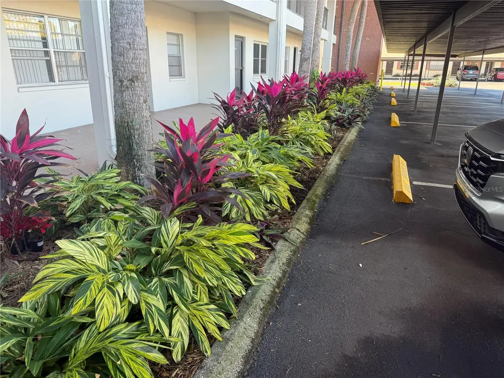 2452 Enterprise Road Clearwater FL 33763