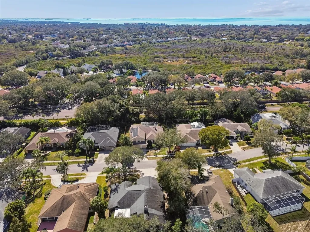 928 Oakview Road Tarpon Springs FL 34689