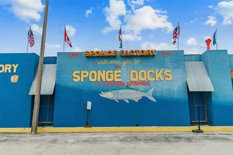 928 Oakview Road Tarpon Springs FL 34689