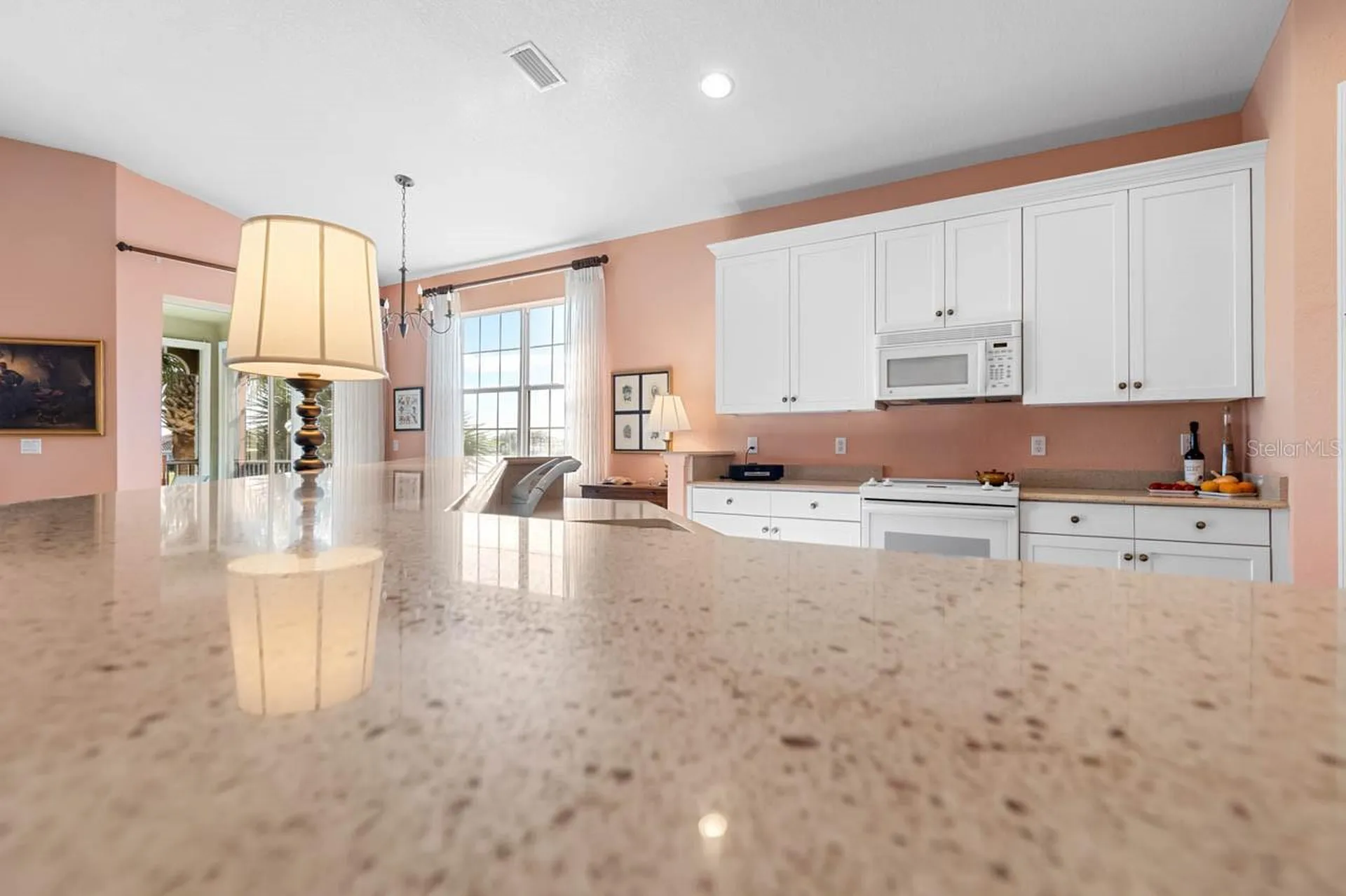 1338 Emerald Dunes Drive Sun City Center FL 33573