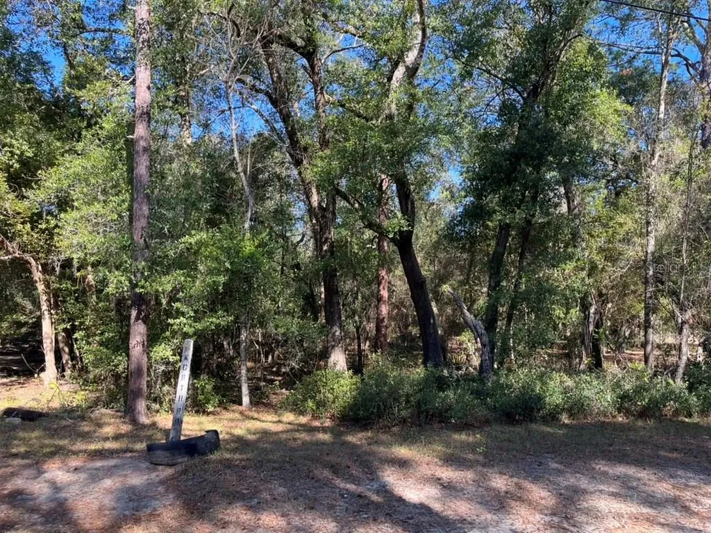 North Road Altoona FL 32702