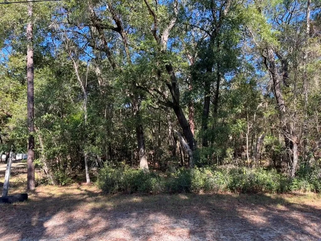 North Road Altoona FL 32702
