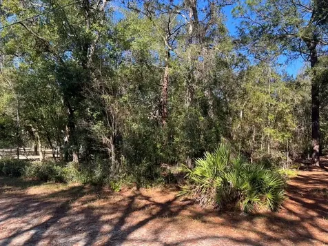 North Road Altoona FL 32702