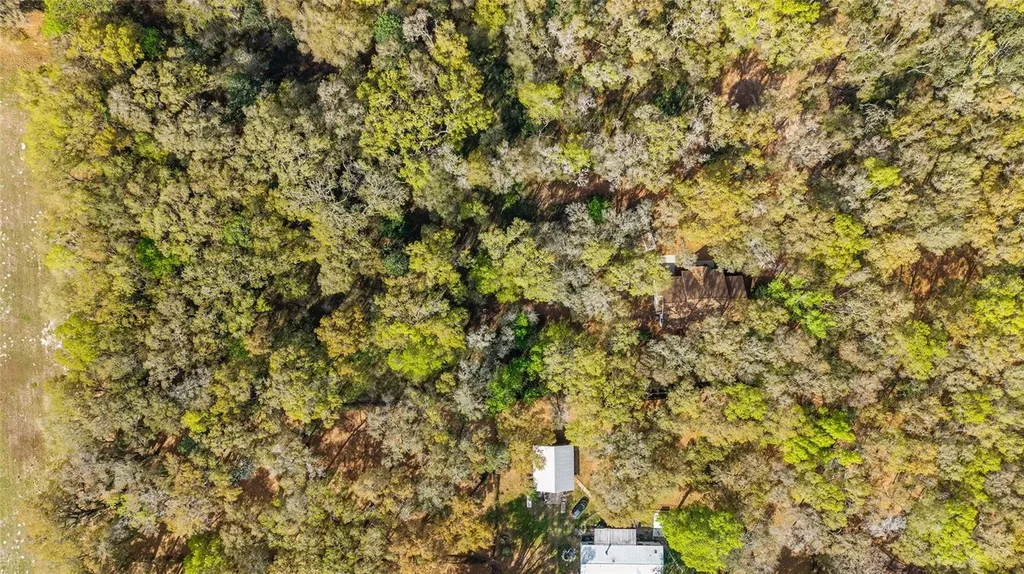 5538 SE Highway 42 Summerfield FL 34491