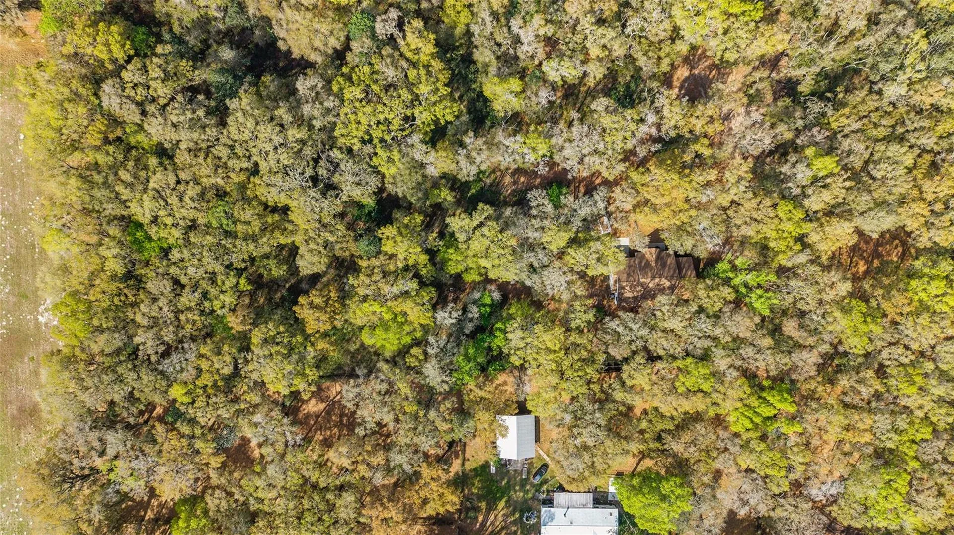 5538 SE Highway 42 Summerfield FL 34491