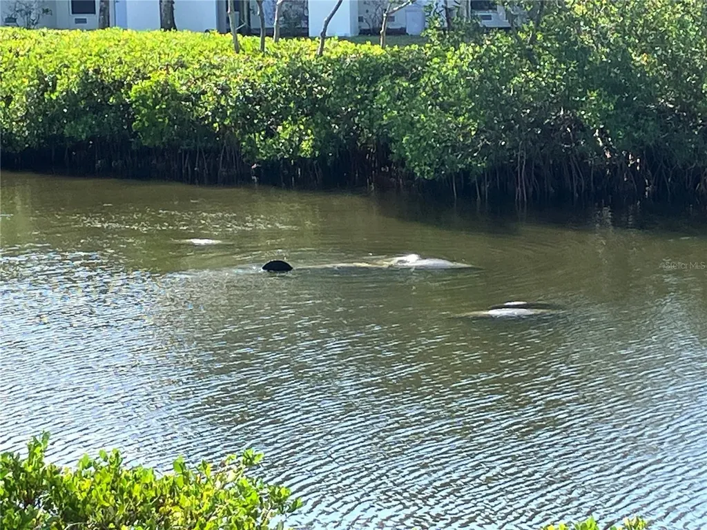 464 Bahia Beach Boulevard Ruskin FL 33570