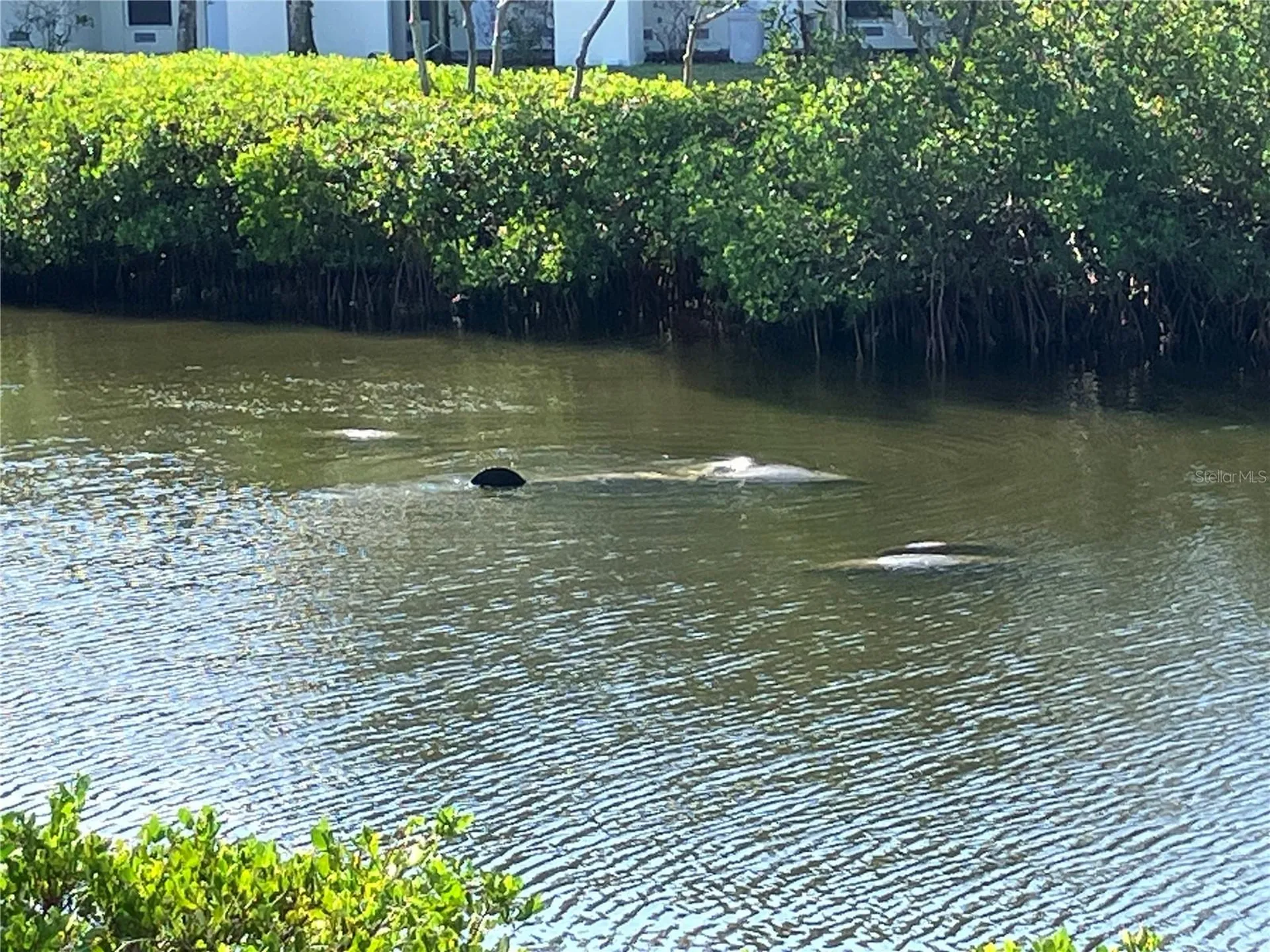 464 Bahia Beach Boulevard Ruskin FL 33570