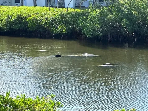 464 Bahia Beach Boulevard Ruskin FL 33570