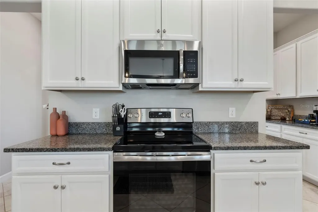 3138 Hilliard Drive Wesley Chapel FL 33543