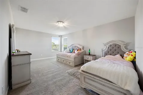 3138 Hilliard Drive Wesley Chapel FL 33543