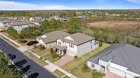 3138 Hilliard Drive Wesley Chapel FL 33543