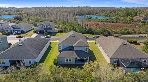 3138 Hilliard Drive Wesley Chapel FL 33543