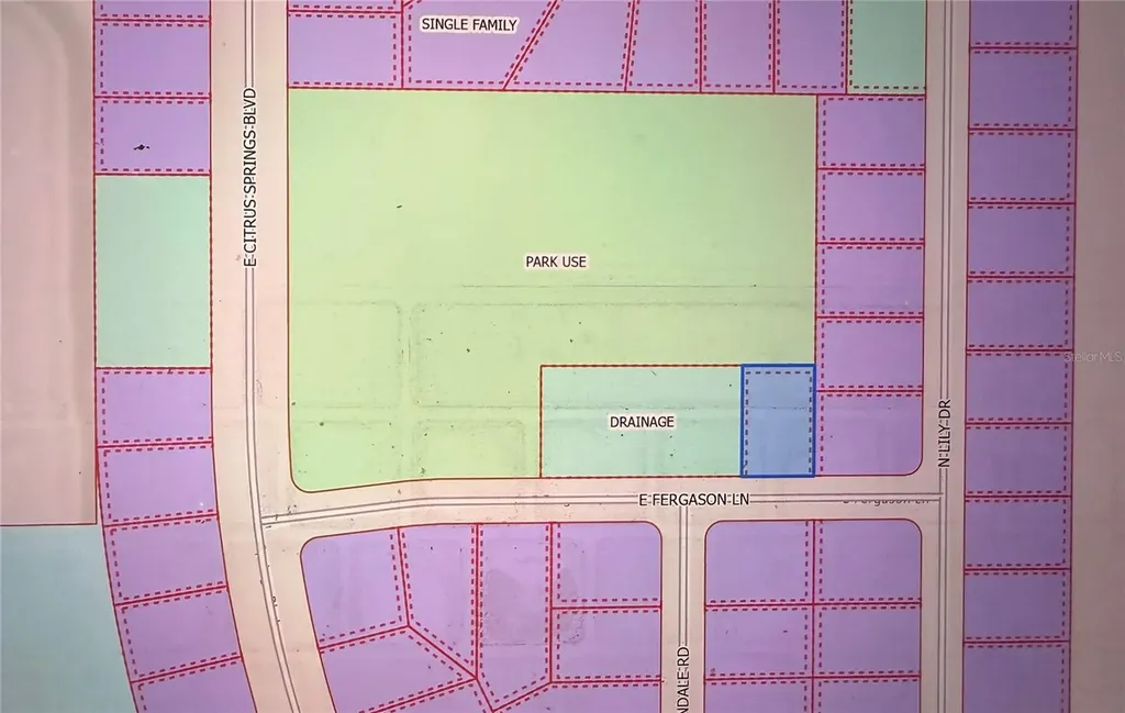 1409 E Fergason Lane Dunnellon FL 34434