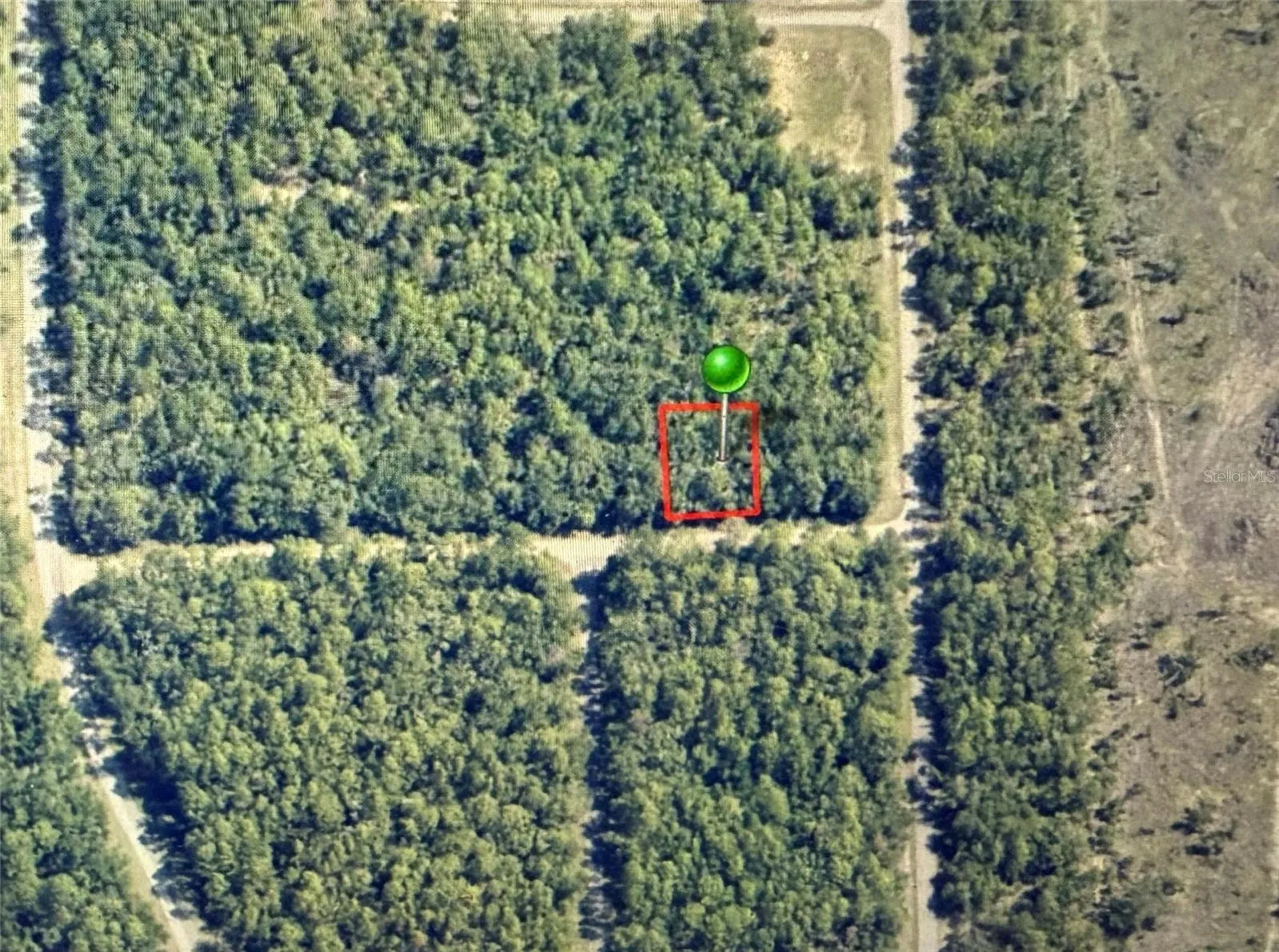 1409 E Fergason Lane Dunnellon FL 34434