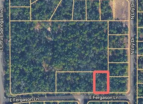 1409 E Fergason Lane Dunnellon FL 34434