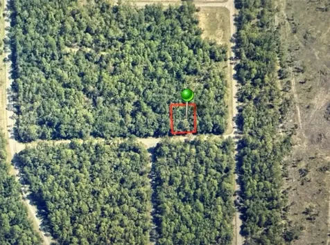 1409 E Fergason Lane Dunnellon FL 34434